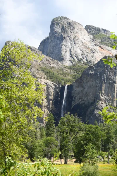 DSC_4336 (Large).JPG